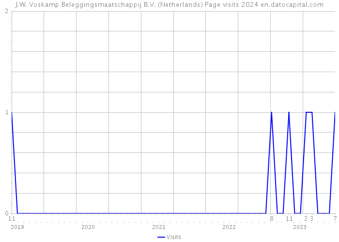 J.W. Voskamp Beleggingsmaatschappij B.V. (Netherlands) Page visits 2024 