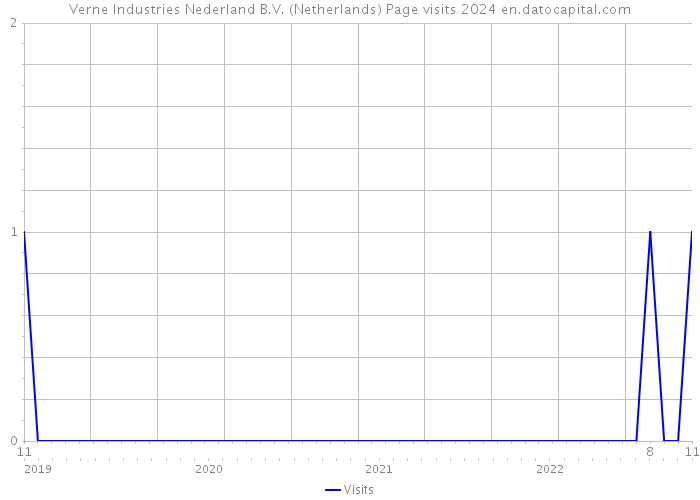 Verne Industries Nederland B.V. (Netherlands) Page visits 2024 