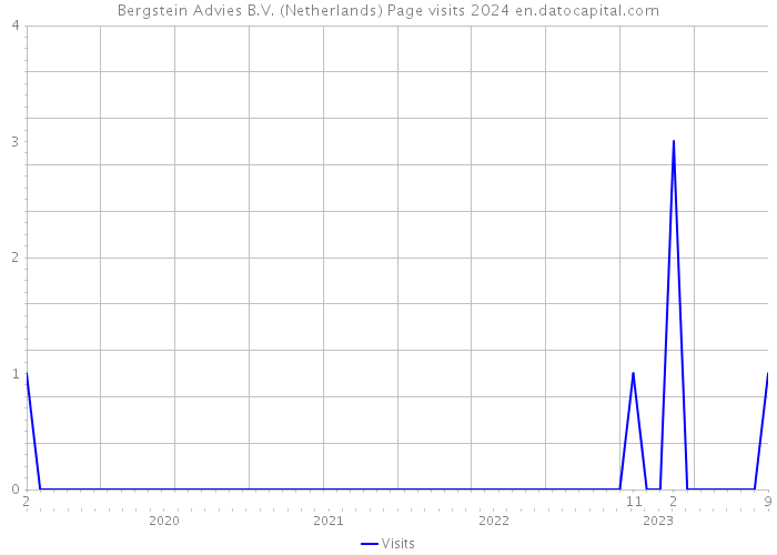 Bergstein Advies B.V. (Netherlands) Page visits 2024 