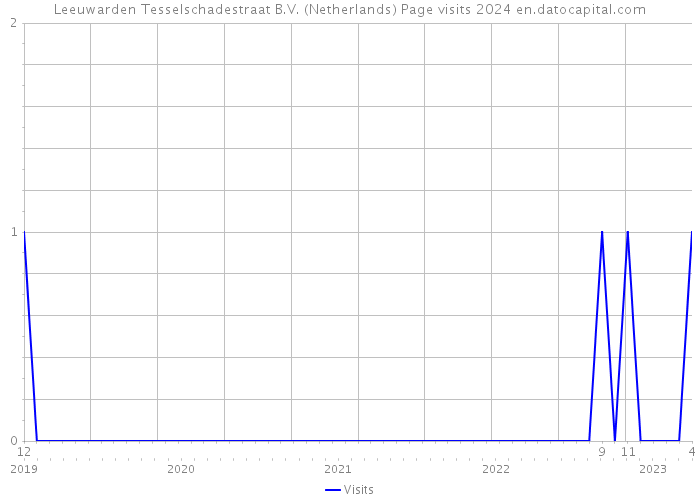 Leeuwarden Tesselschadestraat B.V. (Netherlands) Page visits 2024 