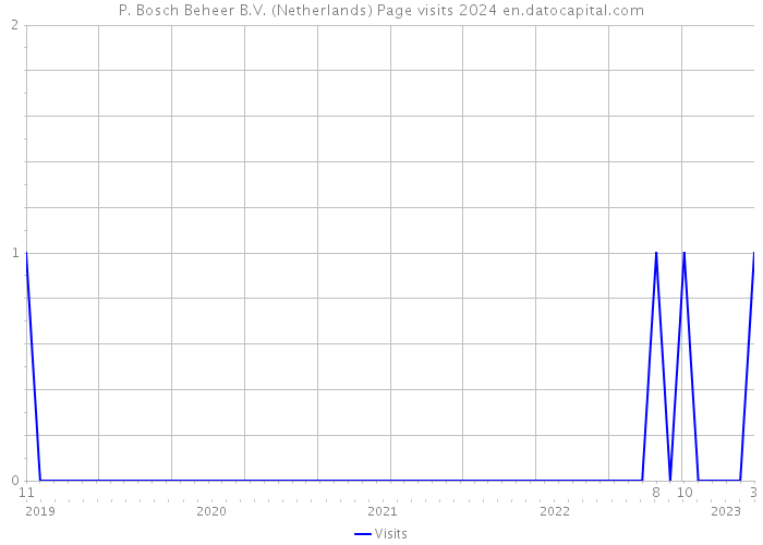 P. Bosch Beheer B.V. (Netherlands) Page visits 2024 