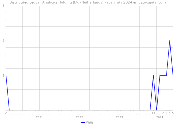 Distributed Ledger Analytics Holding B.V. (Netherlands) Page visits 2024 