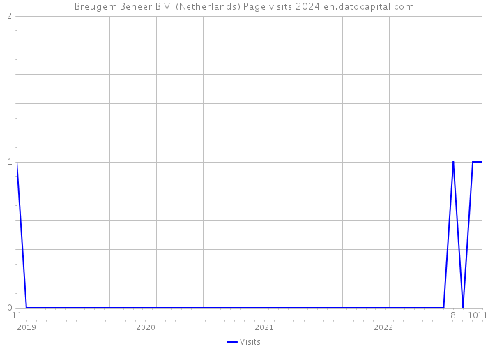 Breugem Beheer B.V. (Netherlands) Page visits 2024 