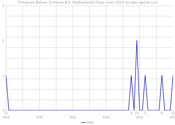 Tomassen Beheer Someren B.V. (Netherlands) Page visits 2024 