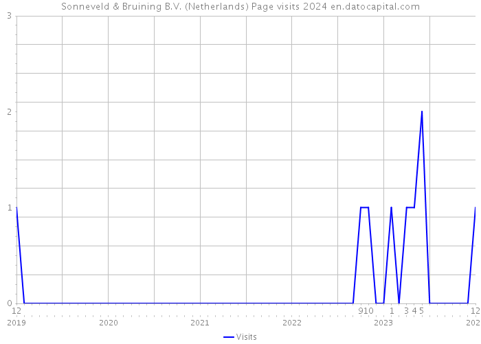 Sonneveld & Bruining B.V. (Netherlands) Page visits 2024 