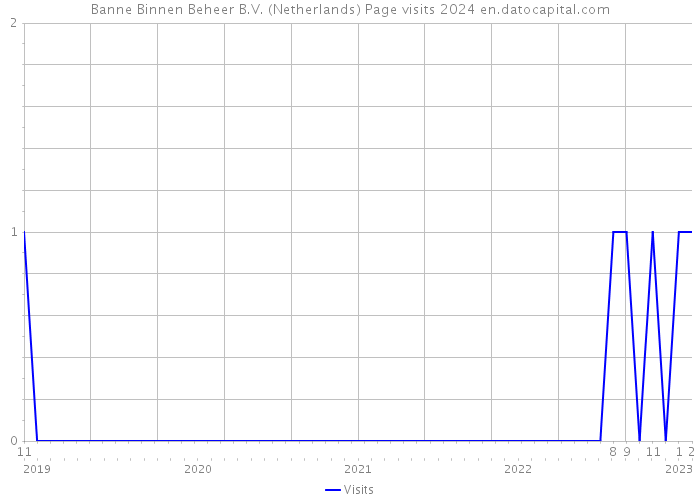 Banne Binnen Beheer B.V. (Netherlands) Page visits 2024 