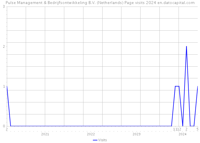 Pulse Management & Bedrijfsontwikkeling B.V. (Netherlands) Page visits 2024 