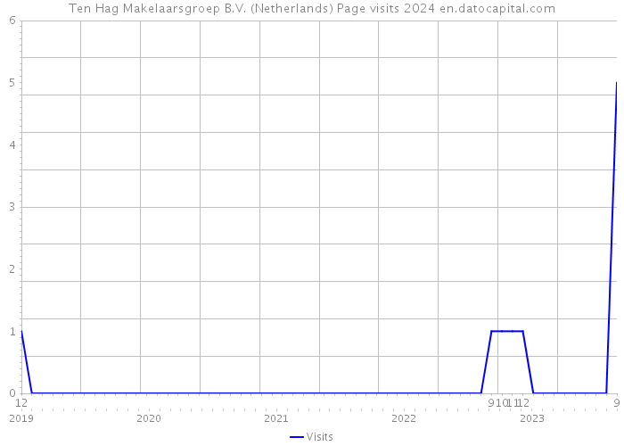 Ten Hag Makelaarsgroep B.V. (Netherlands) Page visits 2024 