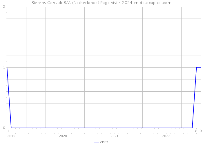 Bierens Consult B.V. (Netherlands) Page visits 2024 