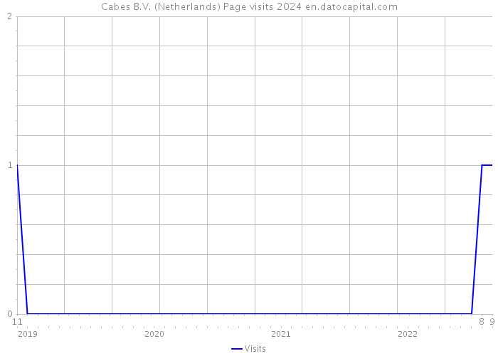 Cabes B.V. (Netherlands) Page visits 2024 