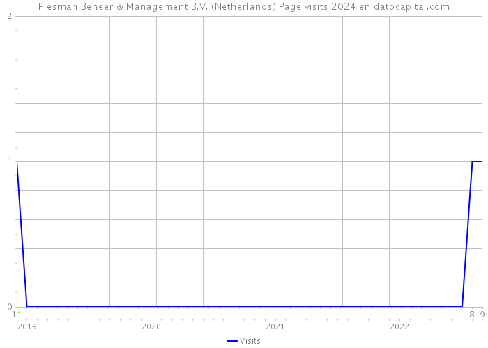 Plesman Beheer & Management B.V. (Netherlands) Page visits 2024 