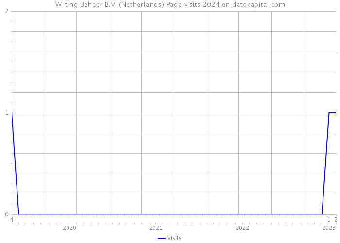 Wilting Beheer B.V. (Netherlands) Page visits 2024 