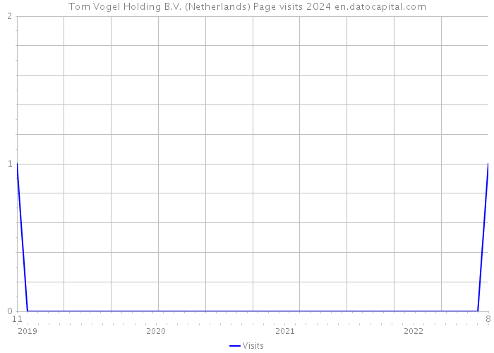 Tom Vogel Holding B.V. (Netherlands) Page visits 2024 