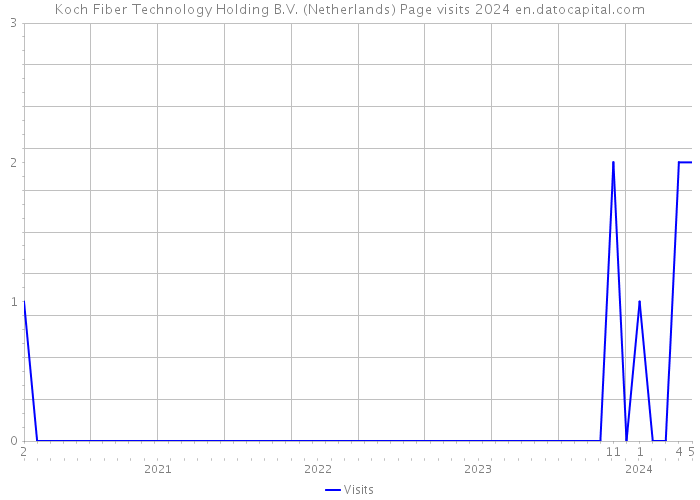 Koch Fiber Technology Holding B.V. (Netherlands) Page visits 2024 
