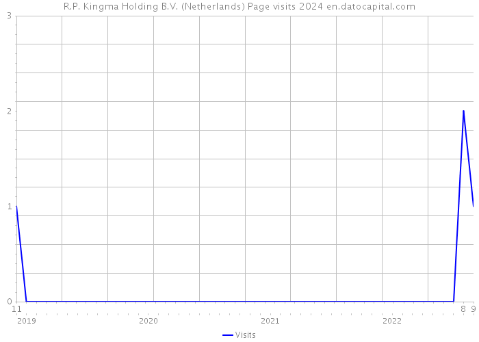 R.P. Kingma Holding B.V. (Netherlands) Page visits 2024 