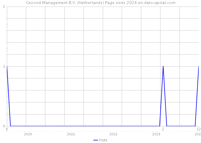 Gezond Management B.V. (Netherlands) Page visits 2024 