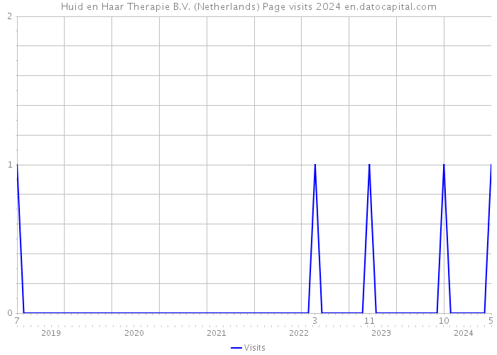 Huid en Haar Therapie B.V. (Netherlands) Page visits 2024 