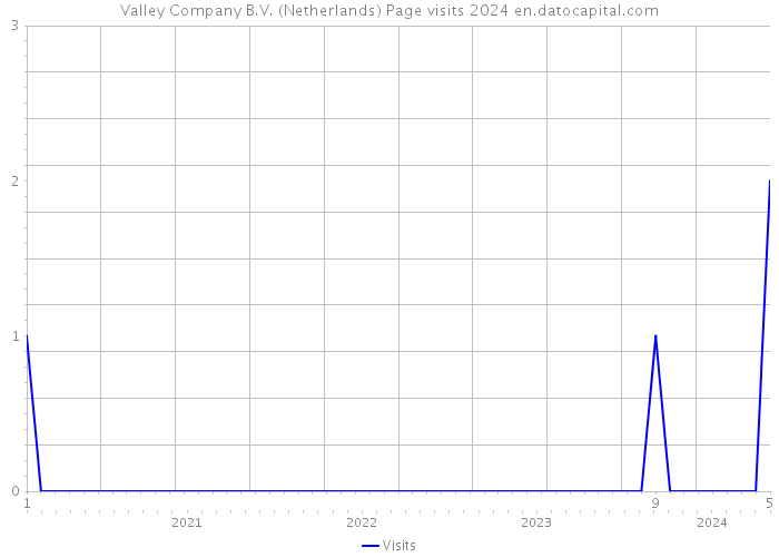 Valley Company B.V. (Netherlands) Page visits 2024 