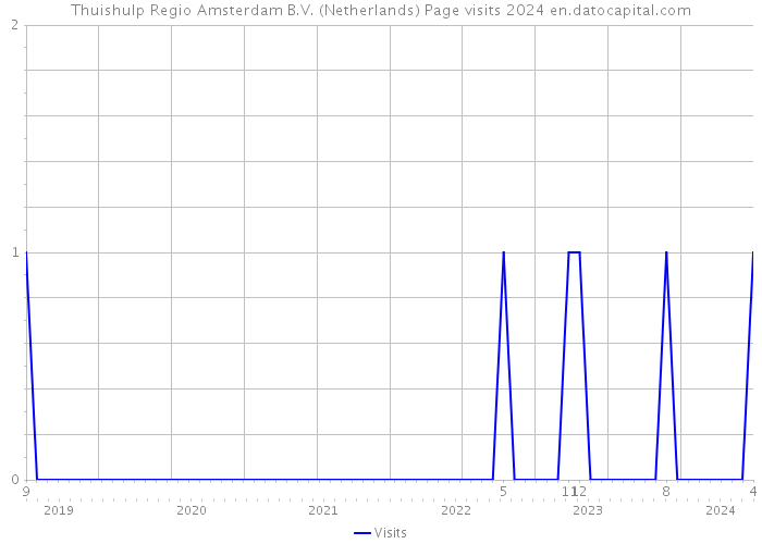 Thuishulp Regio Amsterdam B.V. (Netherlands) Page visits 2024 