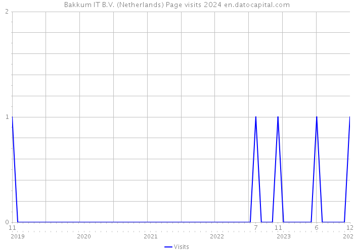 Bakkum IT B.V. (Netherlands) Page visits 2024 