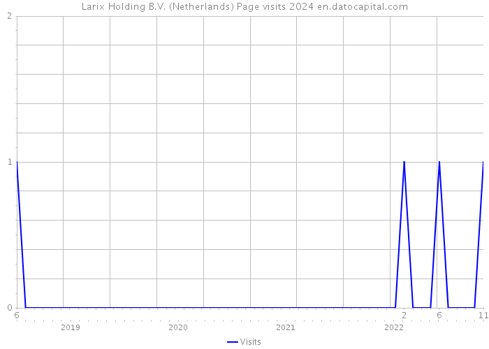 Larix Holding B.V. (Netherlands) Page visits 2024 