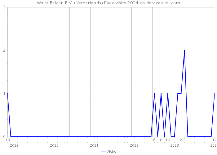 White Falcon B.V. (Netherlands) Page visits 2024 