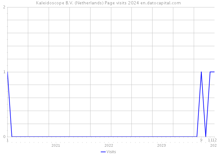 Kaleidoscope B.V. (Netherlands) Page visits 2024 