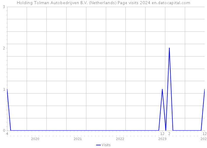Holding Tolman Autobedrijven B.V. (Netherlands) Page visits 2024 