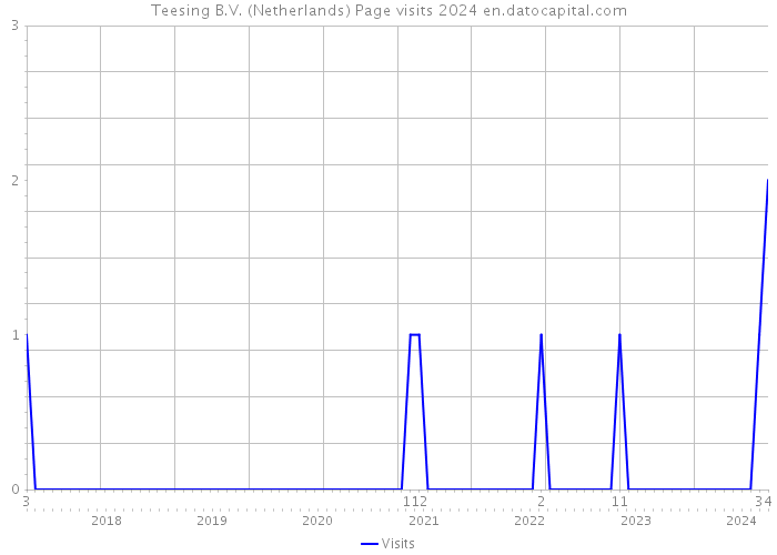 Teesing B.V. (Netherlands) Page visits 2024 