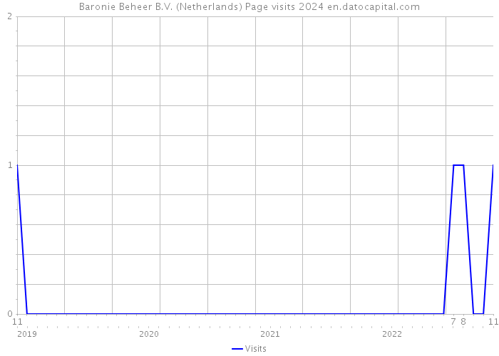 Baronie Beheer B.V. (Netherlands) Page visits 2024 