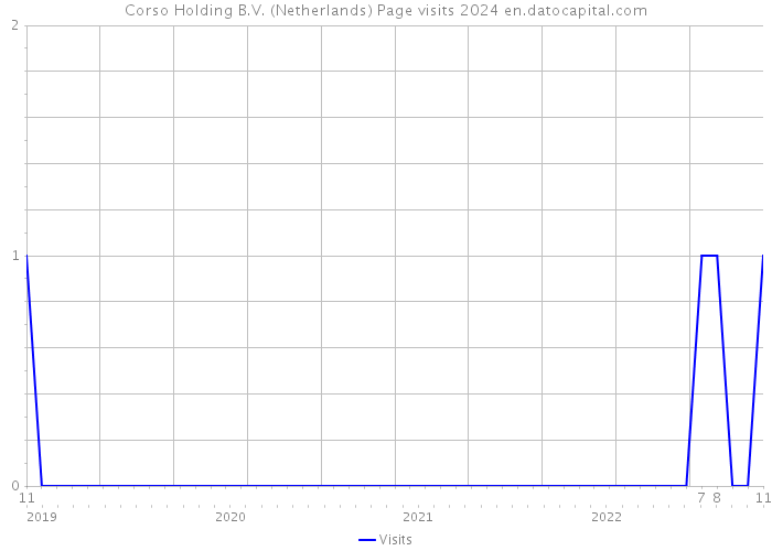 Corso Holding B.V. (Netherlands) Page visits 2024 
