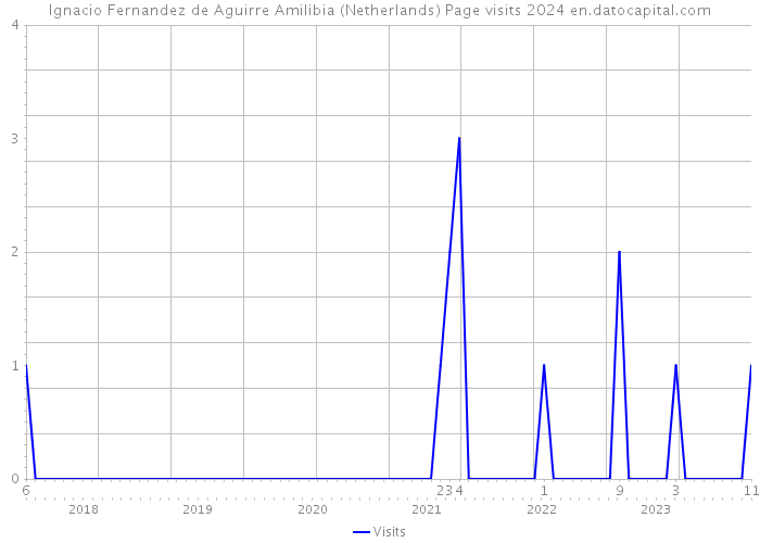 Ignacio Fernandez de Aguirre Amilibia (Netherlands) Page visits 2024 