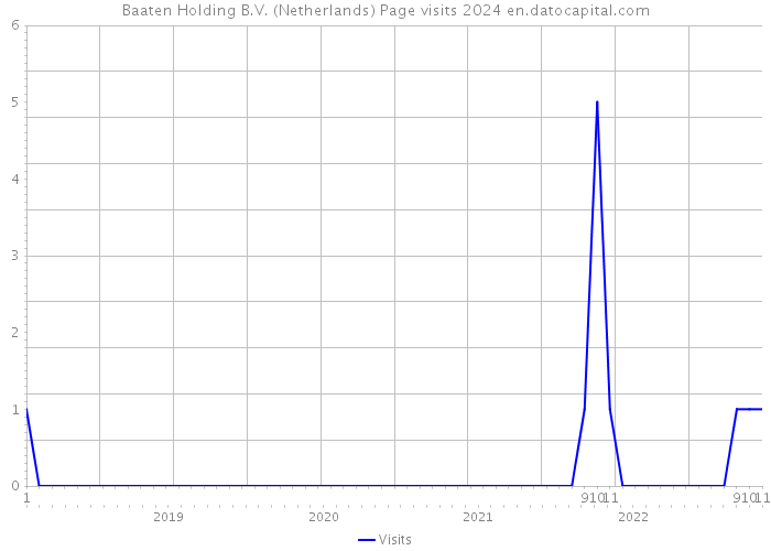 Baaten Holding B.V. (Netherlands) Page visits 2024 