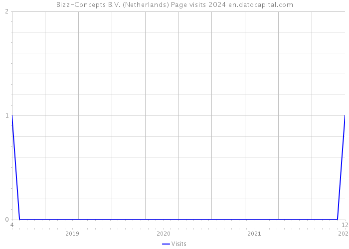 Bizz-Concepts B.V. (Netherlands) Page visits 2024 