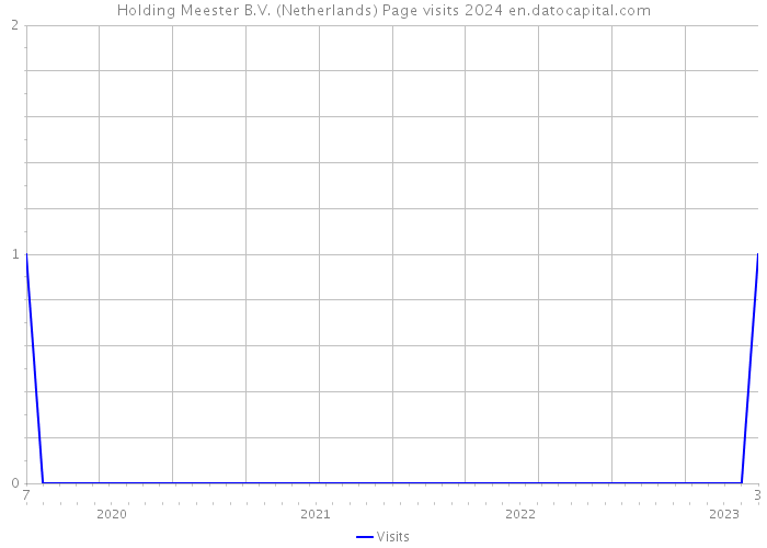 Holding Meester B.V. (Netherlands) Page visits 2024 