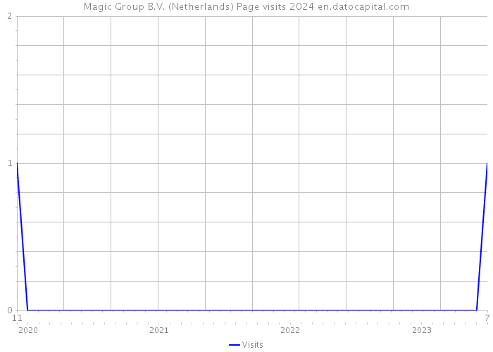 Magic Group B.V. (Netherlands) Page visits 2024 