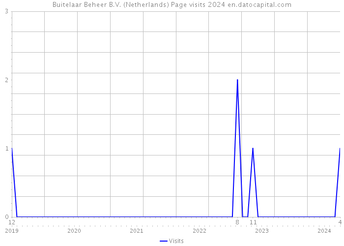 Buitelaar Beheer B.V. (Netherlands) Page visits 2024 
