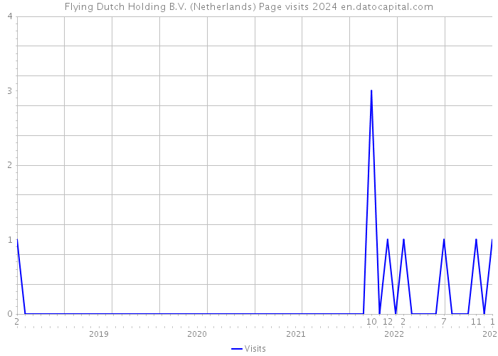 Flying Dutch Holding B.V. (Netherlands) Page visits 2024 