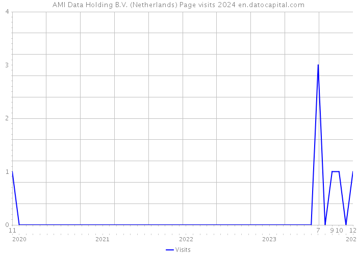 AMI Data Holding B.V. (Netherlands) Page visits 2024 