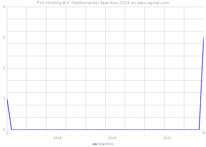 FVG Holding B.V. (Netherlands) Searches 2024 