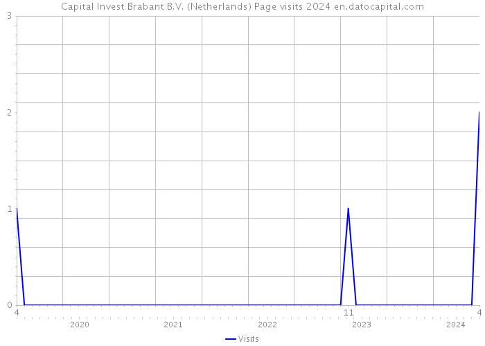 Capital Invest Brabant B.V. (Netherlands) Page visits 2024 