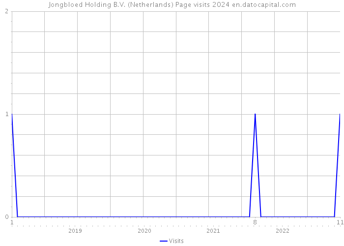 Jongbloed Holding B.V. (Netherlands) Page visits 2024 