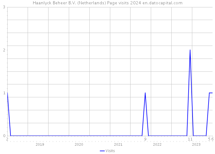 Haanlyck Beheer B.V. (Netherlands) Page visits 2024 
