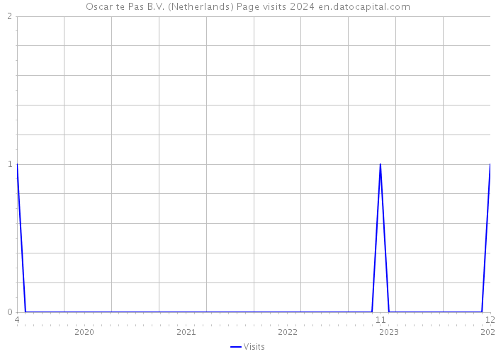 Oscar te Pas B.V. (Netherlands) Page visits 2024 