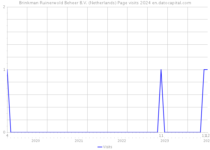 Brinkman Ruinerwold Beheer B.V. (Netherlands) Page visits 2024 