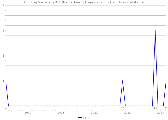 Holding Veneberg B.V. (Netherlands) Page visits 2024 