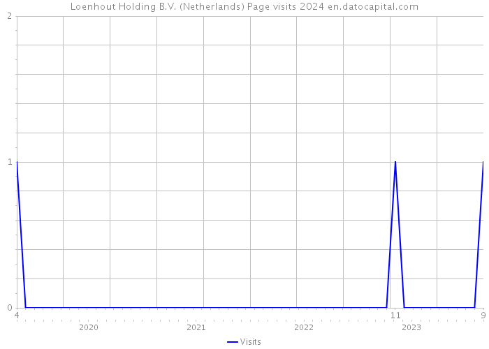 Loenhout Holding B.V. (Netherlands) Page visits 2024 