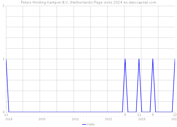 Peters Holding Kampen B.V. (Netherlands) Page visits 2024 