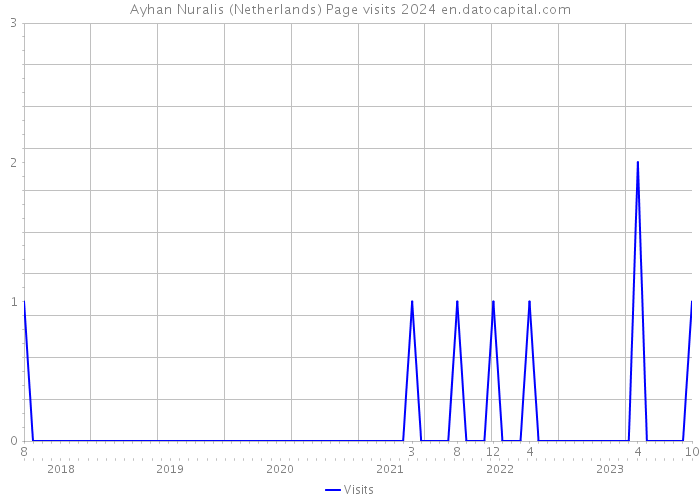 Ayhan Nuralis (Netherlands) Page visits 2024 