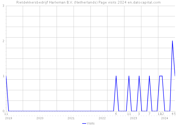 Rietdekkersbedrijf Harleman B.V. (Netherlands) Page visits 2024 